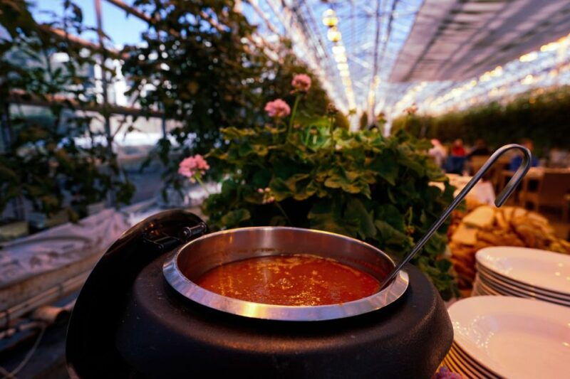 golden-circle-lunch-at-fridheimar-tomato-farm-with-photos