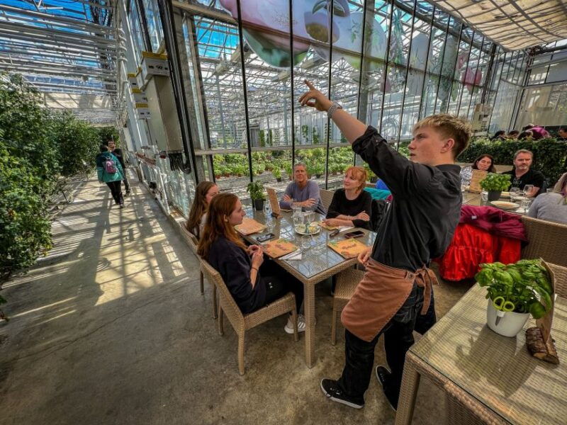 golden-circle-lunch-at-fridheimar-tomato-farm-with-photos