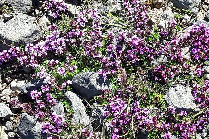 golden-circle-puffin-travel-private-tour