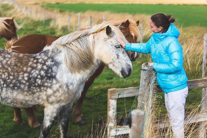 Golden Circle & Viking Horse Experience - Who Should Consider This Tour?