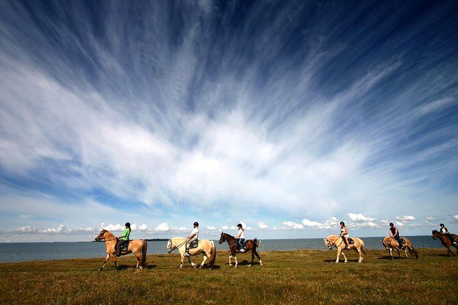 Golden Circle & Viking Horse Experience - Final Thoughts