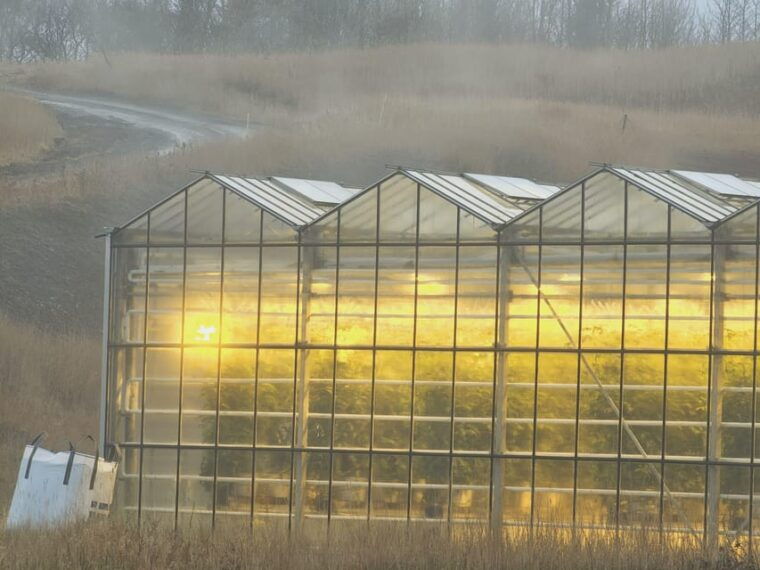 golden-circle-with-friedhamer-farm-and-lagoon
