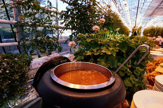 golden-circle-with-tomato-farm-lunch-secret-lagoon-bathing