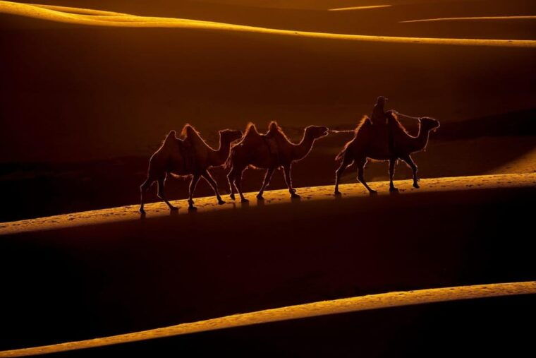 golden-eagle-festival-and-greate-gobi-desert-tour