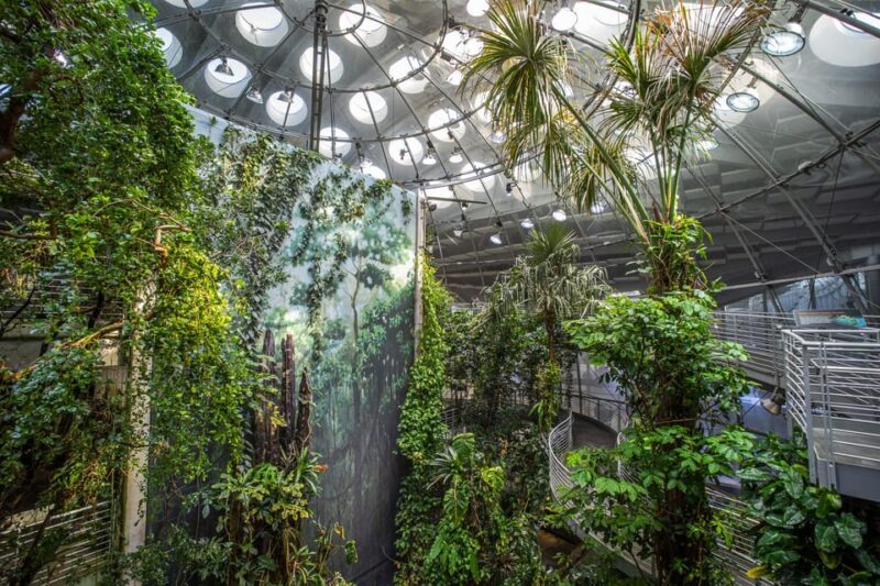 Golden Gate Park Tour With California Academy of Sciences - Discovering Golden Gate Park: What This Tour Offers