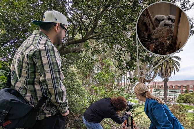 golden-gate-park-twilight-wildlife-walking-tour