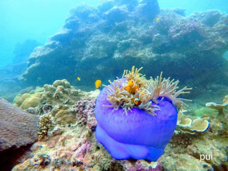 Golden Horizon of Krabi: 4 Islands & Phra Nang Sunset - FAQ