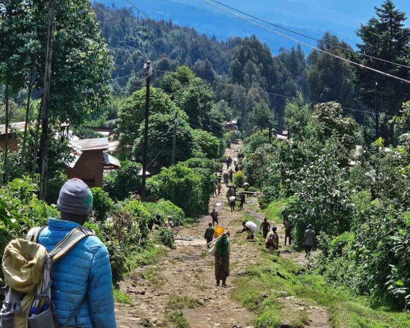 Golden Monkey Trekking with lunch - Who Will Love This Tour?