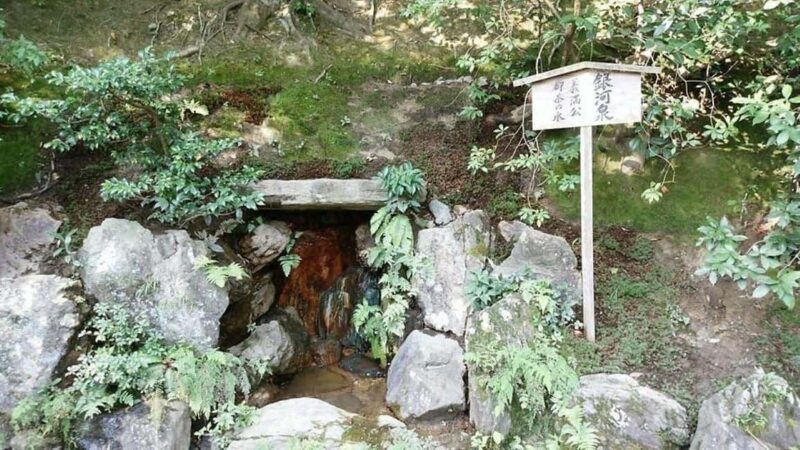 Golden Reflections: Morning at Kinkaku-ji & Zen Gardens - Final Thoughts