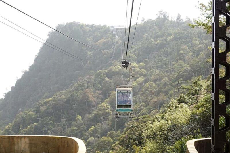 Golden Route to West Japan: 7-Day Cultural & Nature Tour - Overview of the Tour Experience