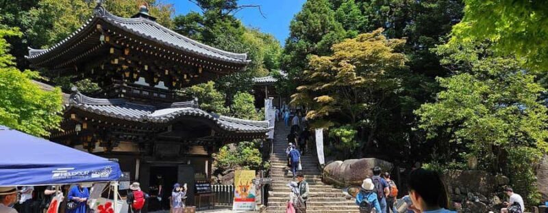 Golden Route to West Japan: 7-Day Cultural & Nature Tour - Cultural & Culinary Experiences