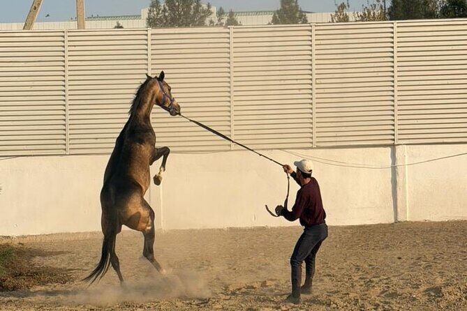 Golden Sands and Fiery Nights 3 Days Across Turkmenistan - Who Is This Tour Best For?