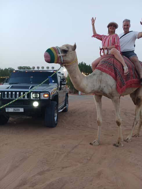 Golden Sands & Glamour: Hummer Safari with Photoshoot - Who Is This Tour Best For?
