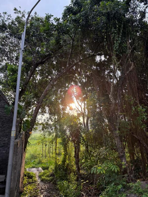 Golden Time Adventure: Sunrise Experience in Yogyakarta - Key Points