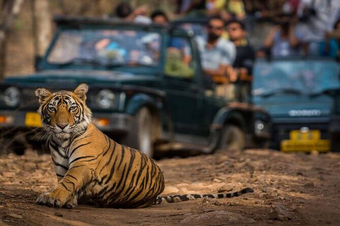 Golden Triangle & Ranthambore: 4-Day Private Tour from Delhi - Key Points