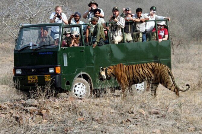 Golden Triangle & Ranthambore: 4-Day Private Tour from Delhi - Final Thoughts