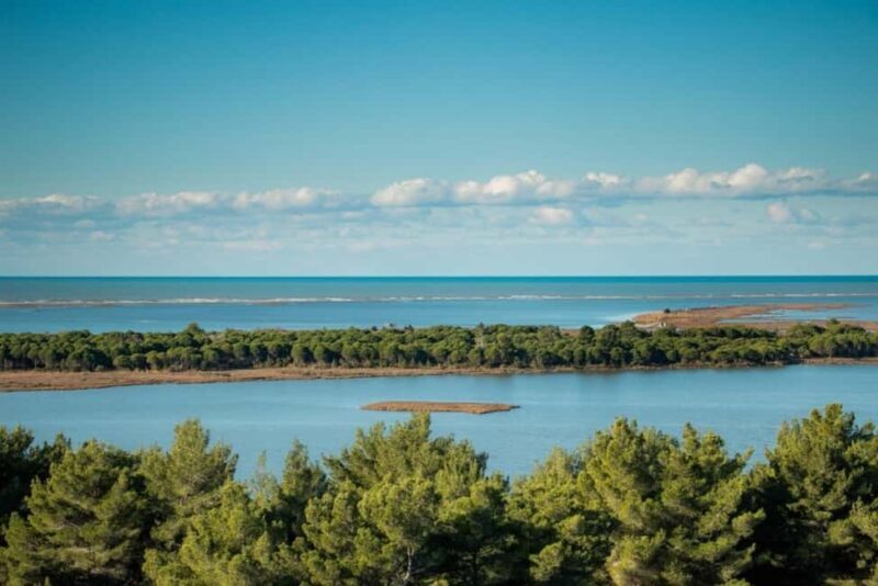 Golem/Durrës: Karavasta Lagoon Tour - An In-Depth Look at the Tour Experience