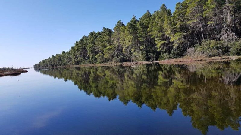 Golem/Durrës: Karavasta Lagoon Tour - Who Will Love This Tour?