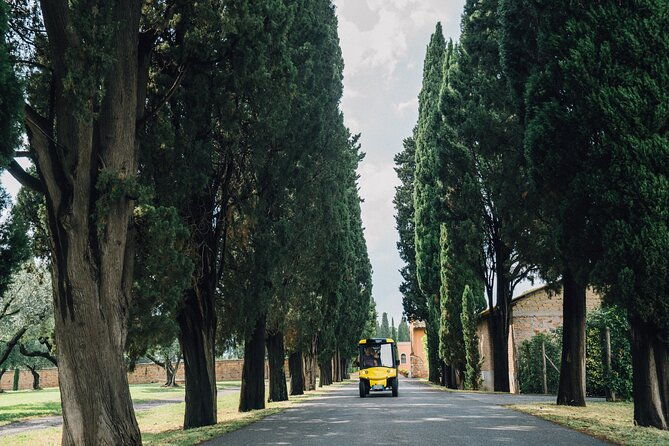 golf-cart-driving-tour-in-rome-2-5-hrs-catacombs-appian-way
