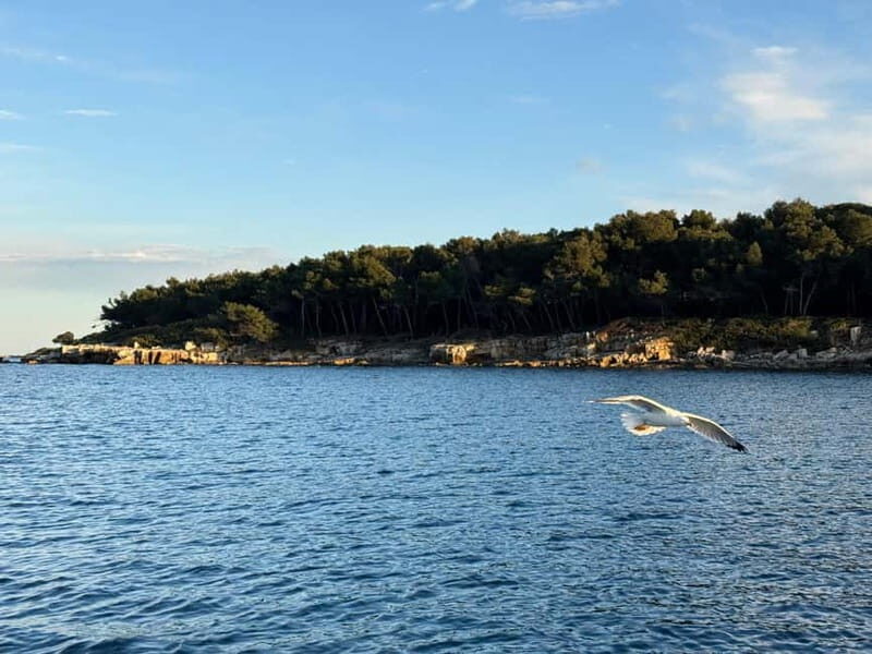 Golfe-Juan: Discover the Art of Sailing on a Scenic Cruise - FAQ