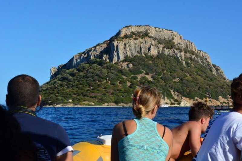 golfo-aranci-dolphin-watching-and-snorkeling-boat-tour