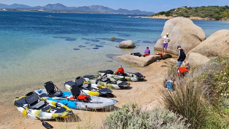 Golfo Aranci: Dolphin Watching Kayaking Tour with Aperitif - Who Will Love This Tour?