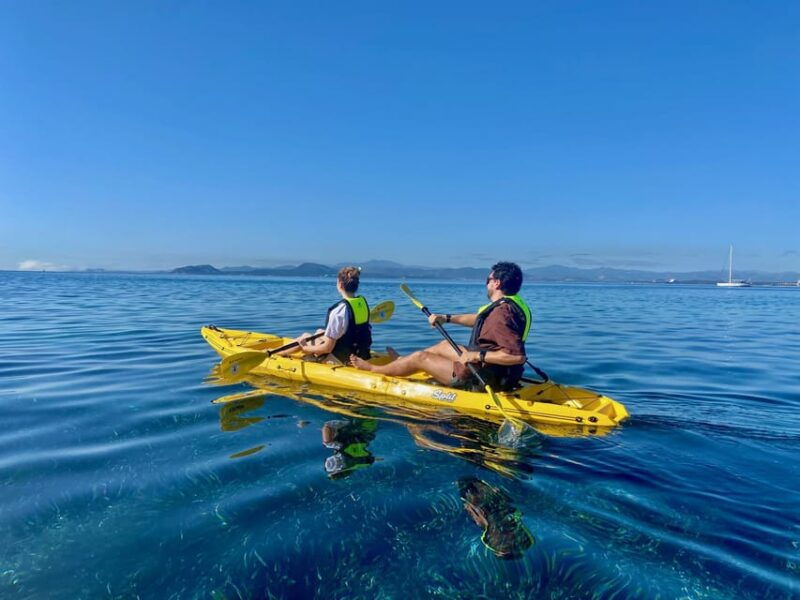 golfo-aranci-german-guided-kayak-tour-aperitif-dolphins