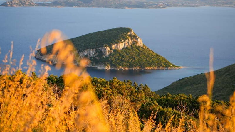 Golfo Aranci: Guided panoramic hike with aperitif and photos - Practical Details and Considerations