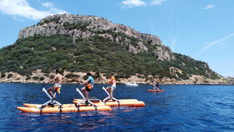 Golfo Aranci: Hydrobike Experience with Aperitif & Dolphins - FAQs