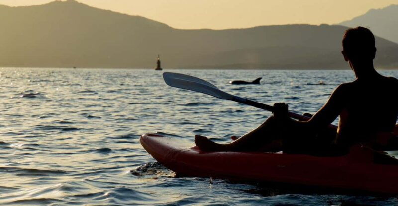 golfo-aranci-sunset-dolphin-kayak-tour-with-aperitif