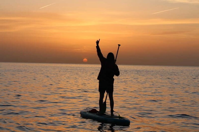 Golfo Aranci: Sup with dolphins, aperitif & photo shoot - Key Points