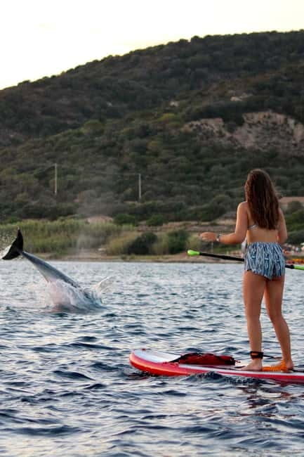 Golfo Aranci: Sup with dolphins, aperitif & photo shoot - Pricing and Value