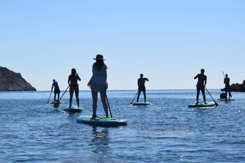 Golfo Aranci: Sup with dolphins, aperitif & photo shoot - Final Reflections
