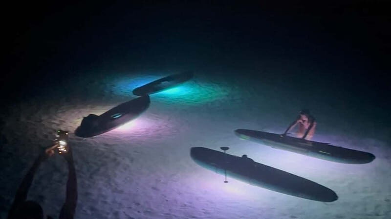 Golfo Aranci, Sup with Dolphins under the Stars - Key Points