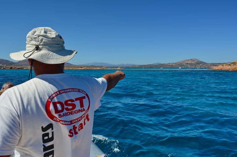 Golfo Aranci: Tavolara and Molara Snorkeling Dinghy Tour - Key Points