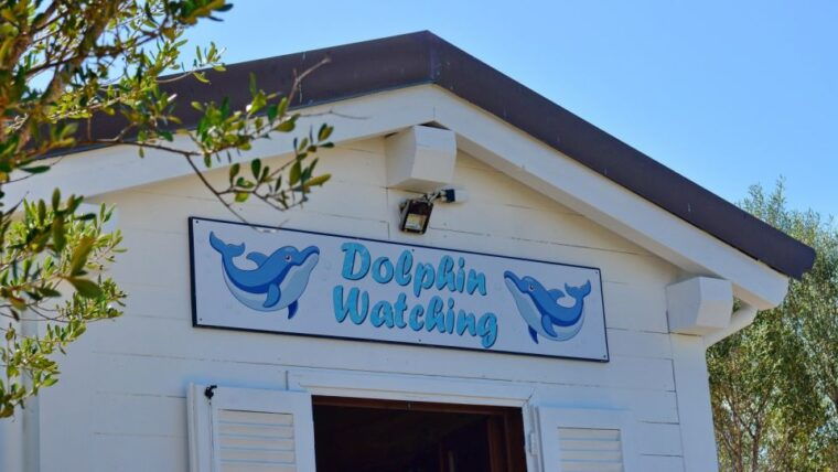 golfo-aranci-tavolara-and-molara-snorkeling-dinghy-tour