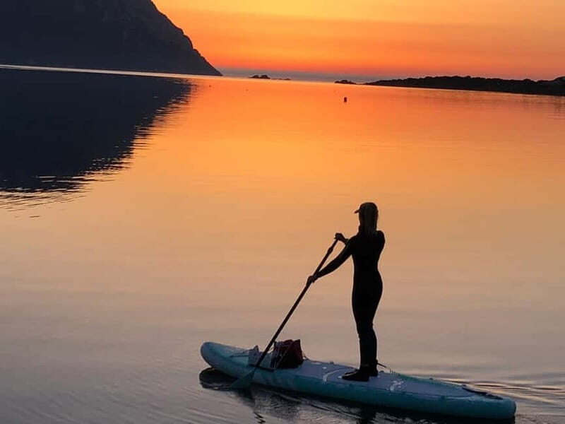 Golfo Aranci tour SUP Paddleboard Dolphin watching, aperitif - Practical Details