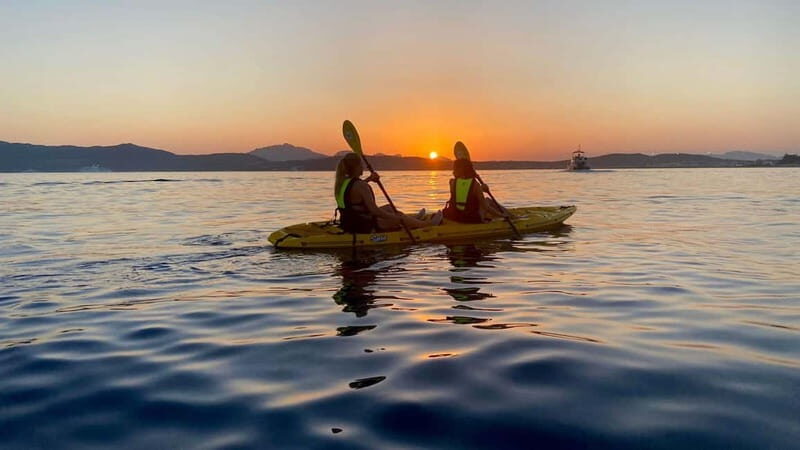 Golfo Aranci:Small group, german guided Kayak tour&Dolphins - What’s Included & What to Consider