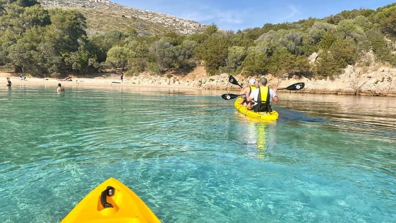 Golfo Aranci:Small group, german guided Kayak tour&Dolphins - Experience Quality and Value