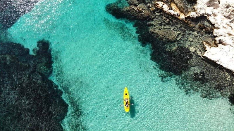 Golfo Aranci:Small group, german guided Kayak tour&Dolphins - Who Would Love This Tour?