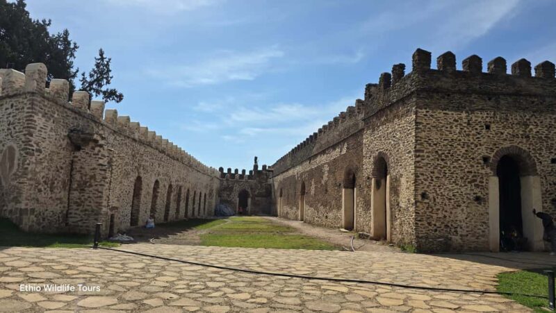 Gondar: City Tour with Fasil Ghebbi & Debre Berhan Selassie - A Deep Dive into Gondar’s City Tour