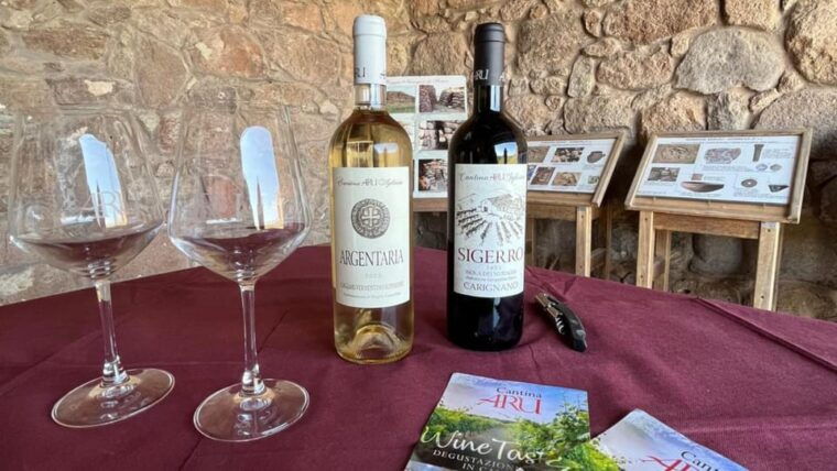 gonnesa-nuraghe-seruci-sunset-visit-with-aperitif