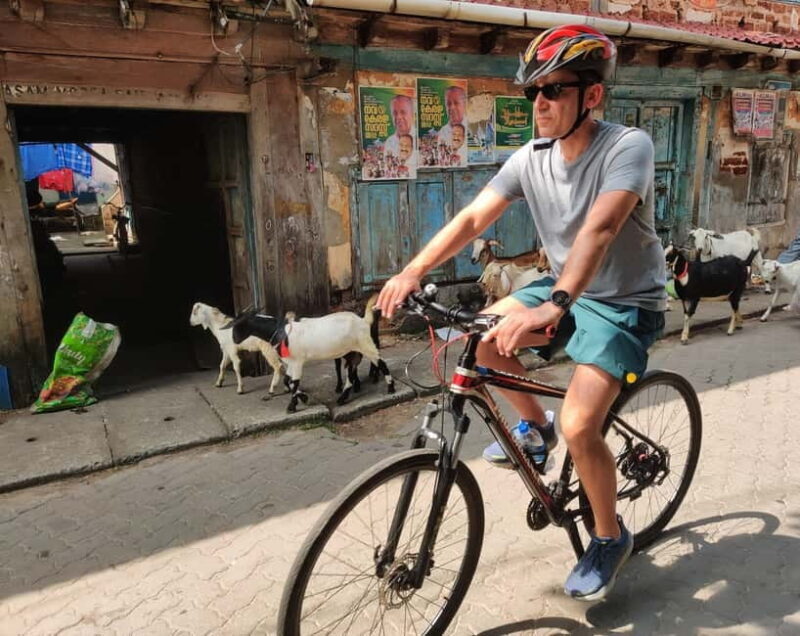 Good Morning Kochi Bicycle Tour - Why Choose the Good Morning Kochi Bicycle Tour?