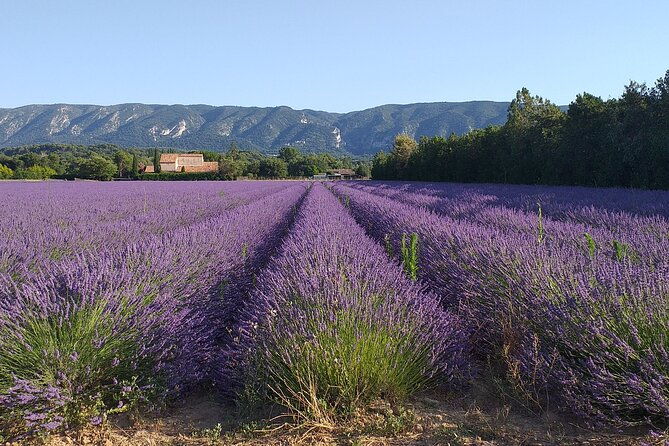 gordes-roussillon-ochre-trail-fontaine-de-vaucluse