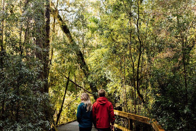 Gordon River Cruise departing from Strahan - FAQs