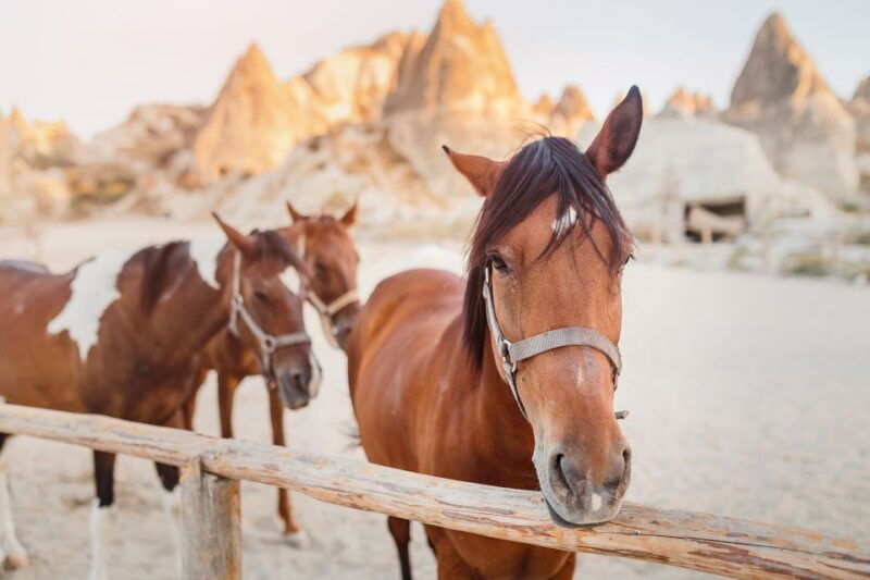 goreme-horseback-riding-experience-in-cappadocia