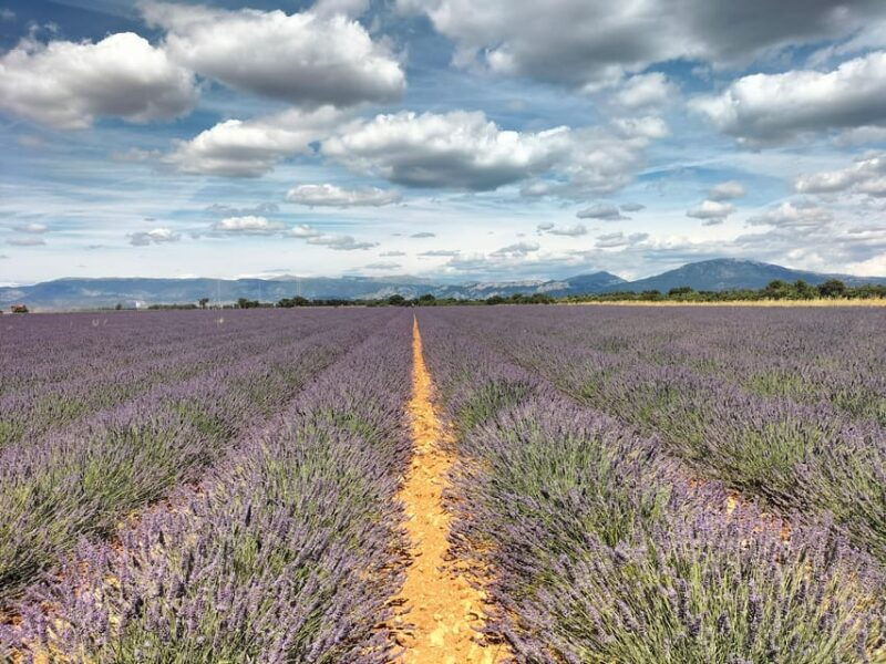 gorges-du-verdon-lavenders-canyon-boat-picnic-villages