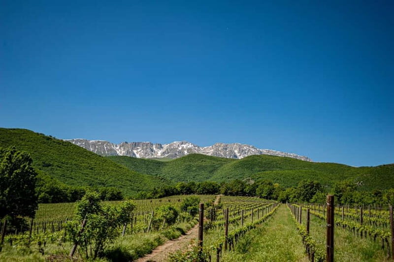 Goriano Valli: Wine Tasting among the Vineyards of Vigna di More - Key Points