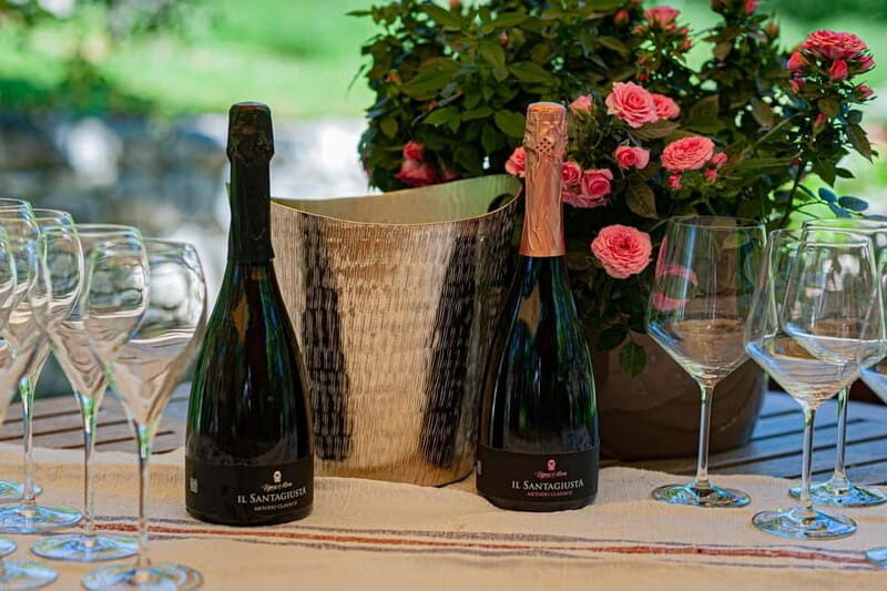 Goriano Valli: Wine Tasting among the Vineyards of Vigna di More - What Sets This Tour Apart?
