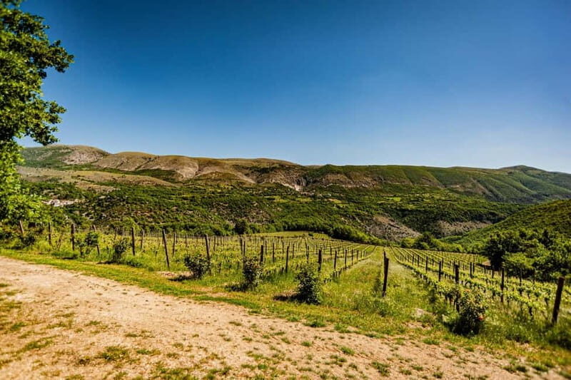 Goriano Valli: Wine Tasting among the Vineyards of Vigna di More - Practical Details and Tips